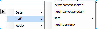 Insert EXIF tag meta data using Quick File Rename